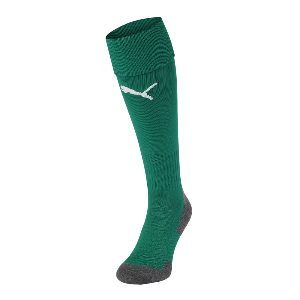 Home Adult GK Sock 22/23 (Green)