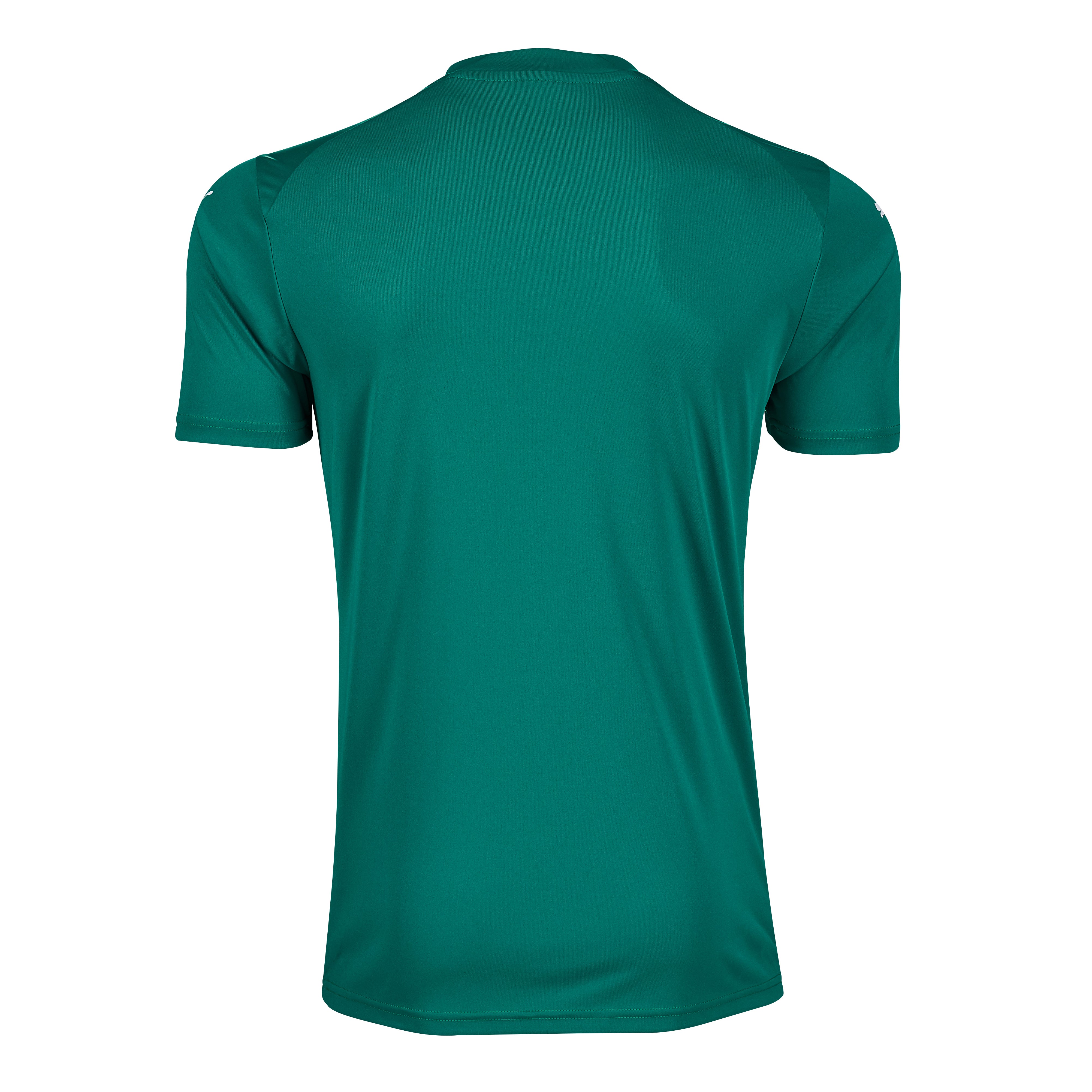 Home GK Adult Shirt 22/23 (Green)