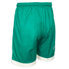 26/27 Adult Green GK Shorts
