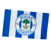 LATICS MEGA FLAG
