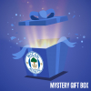 MYSTERY PUMA GIFT BOX 