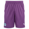 Purple GK Adult Short 24/25