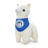 LATICS LLAMA